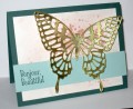 2017/05/31/Bonjour_Golden_Butterfly_GDP088_PP345_by_Christy_S_.JPG