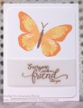 2017/04/03/Butterfly_Friend_by_mandypandy.JPG