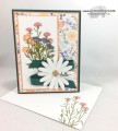 2017/05/24/Wild_About_Daisies_-_Stamps-N-Lingers_6_by_Stamps-n-lingers.jpg