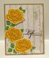2015/08/02/yellow-roses-hbs_by_hbrown.jpg