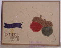 2015/12/20/Thankful_Acorns_8-22-15_by_uvgotcarla.png
