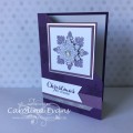 2015/12/20/Carolina_Evans_Flurry_of_Wishes_2015_Holiday_Catalogue_Snowflakes_Stampin_Up_2015_purple_silver_by_Carolina_Evans.JPG