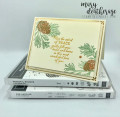 2020/12/02/Stampin_Up_Peaceful_Boughs_For_Unto_Us_-_Stamps-N-Lingers_10_by_Stamps-n-lingers.jpg