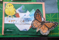 2022/04/13/SC901_Easter_butterfly_by_Crafty_Julia.jpg