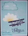 Sky_Is_The