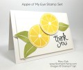 2016/02/24/Stampin-Up-Apple-of-My-Eye-Thank-You-Card-By-Mary-Fish_by_Petal_Pusher.jpg