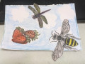 2023/05/03/CC946_Bee_and_dragonfly_vs_strawberries_by_Crafty_Julia.jpg