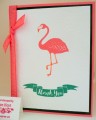 flamingo_c