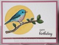 2016/12/09/Best_Birds_008_by_Cards4Ever.jpg