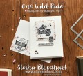 2017/07/17/One-Wild-Ride-Supplies_by_Stampin_Hoot_.jpg