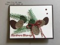 2016/09/03/Christmas_Pines_-_Stamp_It_Up_With_Jaimie_-_Stampin_Up_by_StampinJaimie5.jpg