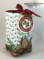 2016/11/03/Presents_Pinecones_Box_in_a_Bag_2-_Stamps-N-Lingers_by_Stamps-n-lingers.jpg