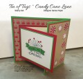 2016/11/28/Tin-of-Tags-Candy-Cane-Lane-DSP-Gift-Card-736pxl_by_SewingStamper06.jpg