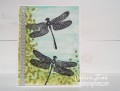 2017/02/14/Dragon_Fly_Watercolor_Card_by_Stampingmama_com.jpeg