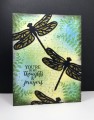 2017/03/20/dragonfly_dreams_sympathy_by_beesmom.jpg