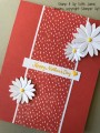 2017/04/24/Daisies_-_Stamp_It_Up_With_Jaimie_-_Stampin_Up_by_StampinJaimie5.jpg