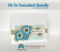 2017/05/01/Oh-So-Succulent-Bundle-1_by_Stampin_Hoot_.jpg