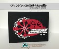 2017/05/01/Oh-So-Succulent-Bundle-4_by_Stampin_Hoot_.jpg