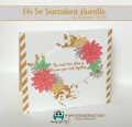 2017/05/01/Oh-So-Succulent-Bundle-5_by_Stampin_Hoot_.jpg