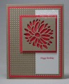 2017/03/23/Special_Reason_Stamp_Set_by_Stampin_Up_1_of_1_by_darhm.jpg