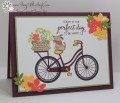 2017/05/19/Stampin_Up_Bike_Ride_-_Stamp_With_Amy_K_by_amyk3868.jpg