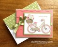 2017/07/08/Stampin-Up-Bike-Ride-Friendship-Birthday-Card-Idea-Mary-Fish-StampinUp-500x412_by_Petal_Pusher.jpg