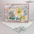 2017/04/13/Delightful_Daisy_Thank_You_-_Stamps-N-Lingers_5_by_Stamps-n-lingers.jpg