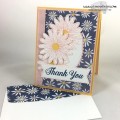 2017/05/12/Delightful_Daisy_Delight_Thanks_You_-_Stamps-N-Lingers_7_by_Stamps-n-lingers.jpg