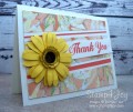 2017/06/27/Handmade_Thank_You_Card_Idea_With_Daisy_Delight_-_www_Stamp4Joy_com_2_by_Rebecca_Mayse.jpg