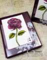 2018/04/29/graceful_garden_petal_passion_memories_and_more_acetate_card_idea_blackberry_bliss_stampin_up_pattystamps_by_PattyBennett.jpg