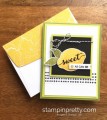 2017/07/08/Stampin-Up-Lemon-Zest-Thank-You-Card-Idea-Mary-Fish-StampinUp-447x500_by_Petal_Pusher.jpg