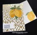 2017/07/20/Stampin-Up-Bundle-of-Love-DSP-Lemon-Zest-Bundle-Love-cards-idea-Mary-Fish-Stampinup-SU-500x474_by_Petal_Pusher.jpg