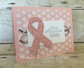 2017/09/03/Ribbon_of_Courage_Stamp_Set_by_Stampin_Up_and_Support_Ribbon_Framelits_www_stampstodiefor_com_11_by_patstamps2001.jpg