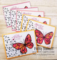 2018/04/16/petal_passion_memories_and_more_card_pack_ideas_beautiful_you_flower_butterfly_painted_with_love_pattystamps_stampin_up_5_by_PattyBennett.jpg