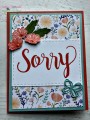 Sorry_-_SI