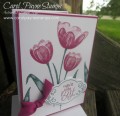 2017/06/24/stampin_up_tranquil_tulips_carolpaynestamps4_by_Carol_Payne.JPG