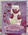 2024/03/12/Spring_Tulips_by_Gadabout.jpg