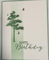 2023/04/25/Tree_Bday_by_Patti_S_Brown.jpg