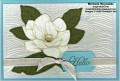 2020/04/13/good_morning_magnolia_wavy_bloom_watermark_by_Michelerey.jpg