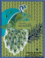 2019/07/09/royal_peacock_incredible_shine_peacock_watermark_by_Michelerey.jpg