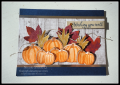 2019/10/28/blog_Gather_Together_lots_of_pumpkins_JPG_by_cnsteele.png