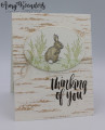 2019/10/26/Stampin_Up_Nature_s_Beauty_-_Stamp_With_Amy_K_by_amyk3868.jpg