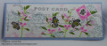 2020/06/04/Bee_Collage_Post_Card_Slim_by_kenaijo.jpg