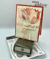 2020/01/29/Stampin_Up_Timeless_Tulips_Jubilee_Mother_s_Day_-_Stamps-N-Lingers_9_by_Stamps-n-lingers.jpg
