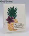 2020/02/23/Stampin_Up_Timeless_Tropical_-_Stamp_With_Amy_K_by_amyk3868.jpg
