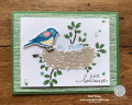 2020/06/12/Birds_Branches_-_Just_because_card1_by_pspapercrafts.jpg