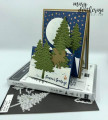 2020/07/31/Stampin_Up_In_the_Pines_Double-Easel_Fun_Fold_-_Stamps-N-Lingers1_by_Stamps-n-lingers.jpg