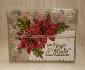 2021/12/04/Stampin_Up_Poinsettia_Petals_with_the_Painted_Christmas_DSP_8_by_Christyg5az.jpg