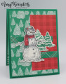 2020/09/20/Stampin_Up_Snow_Wonder_-_Stamp_With_Amy_K_by_amyk3868.jpeg
