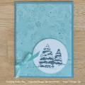 2023/12/19/Snow_Covered_Trees-White_Stella_Watermarked_by_DStamps.jpg